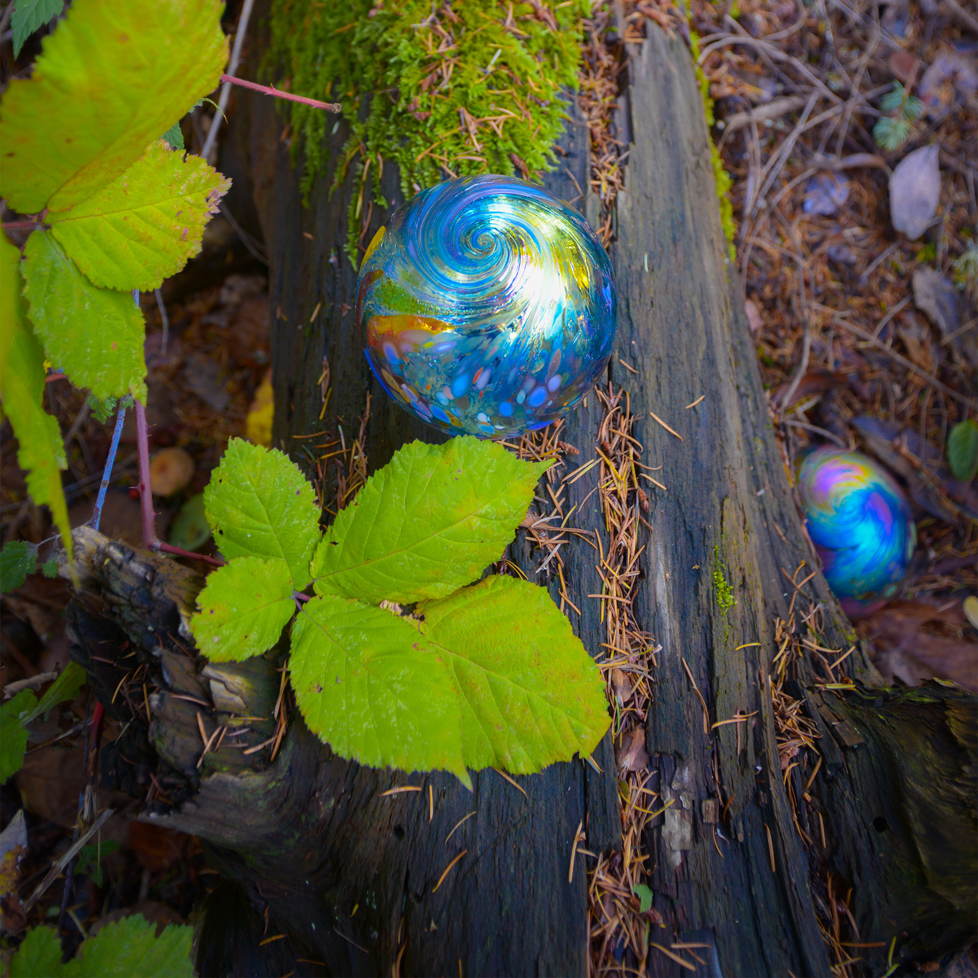 Glass Quest Windermere Stanwood Camano