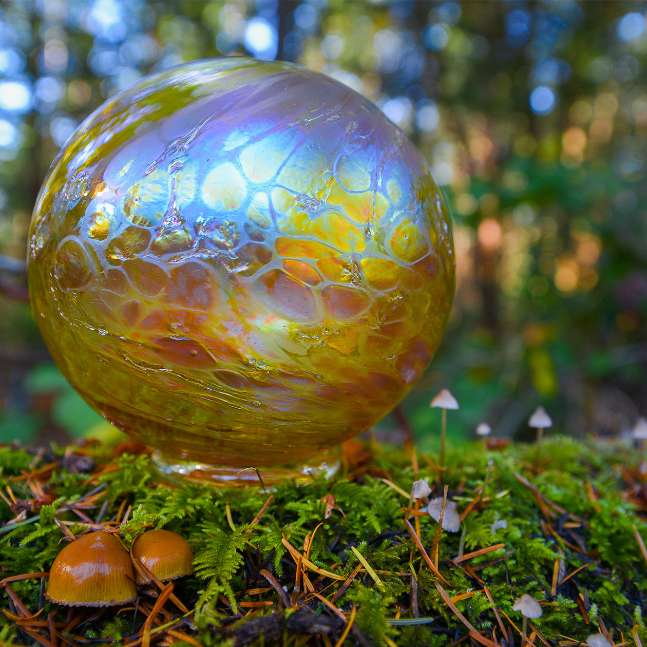 Glass Quest Windermere Stanwood Camano