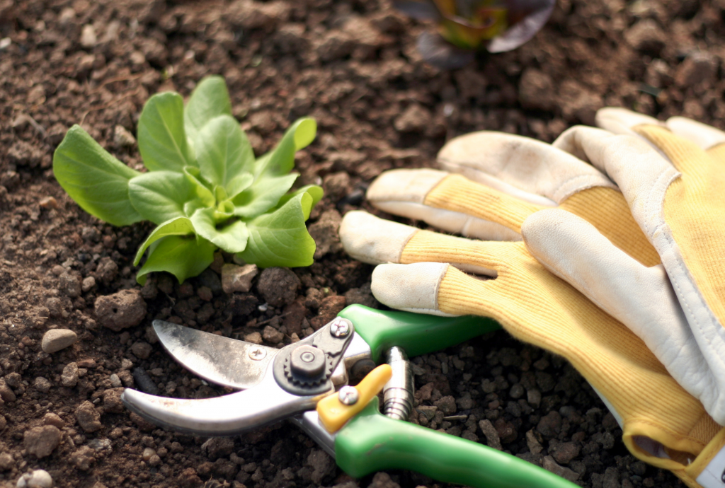 Gardening in the Pacific Northwest Windermere Stanwood Camano
