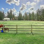 5 acres of fenced and level pasture