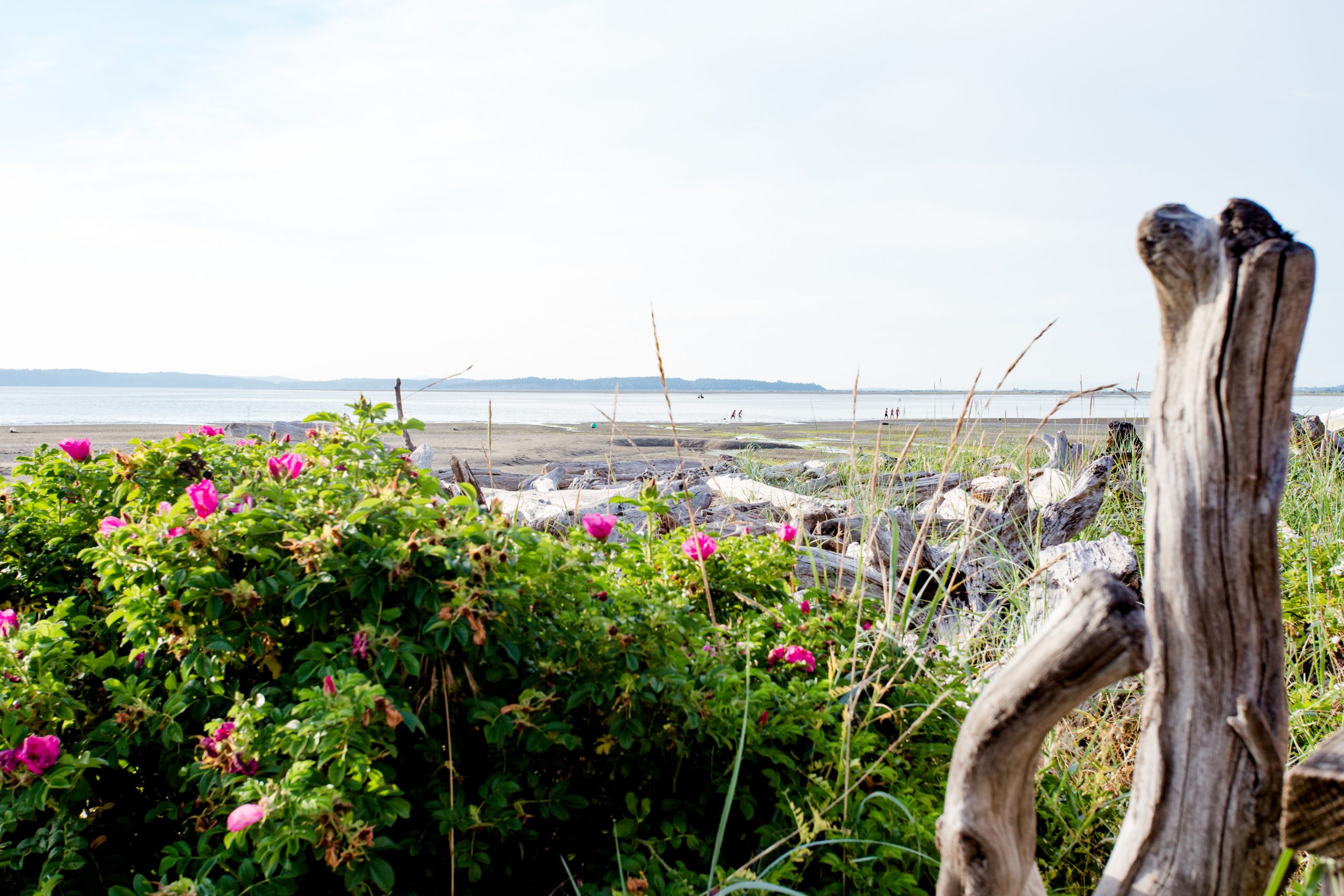 Warm Beach Real Estate | Windermere Stanwood Camano