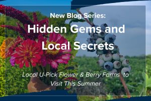 Blog Photo | Hidden Gems & Local Secrets